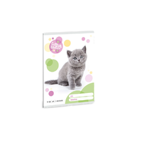 Ars Una Ars Una: Cuki állatok - Brit rövidszőrű macska 3. osztályos vonalas füzet 32 lapos A/5
