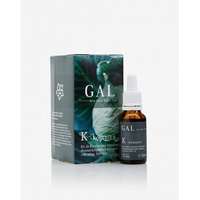 Gal GAL K-komplex vitamin (500 mcg K-komplex) 30 adag 20 ml (GAL)