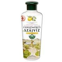 H.CSERSZÖMÖRCÉS CITROMOS SZÁJVÍZ 250 ml