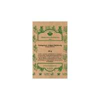 GALAGONYAVIRÁGOS HAJTÁSVÉG /HERBÁRIA/ 40 g
