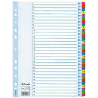 Regiszter A/4 karton 1-31 reg. Mylar 100164