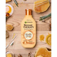 GARNIER GARNIER Botanic Therapy Sampon 250 ml Honey Propolis