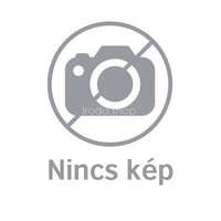 Regina Regina Vintage Szalvéta 45 db-os Vegyes színekben