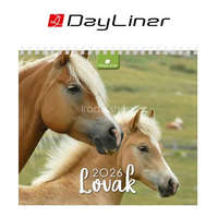 DAYLINER Naptár, asztali, álló, DAYLINER "Lovak"