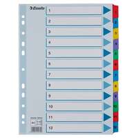 ESSELTE Regiszter, karton, A4, 1-12, ESSELTE Mylar