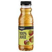 CAPPY Almalé, 100%, 0,33 l, CAPPY