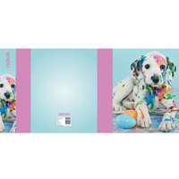 Nebulo Füzetbox, A5, Dalmata, Nebulo