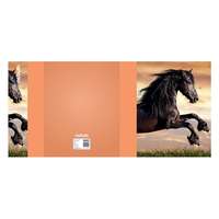 Nebulo Füzetbox, A5, Ló, Nebulo