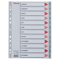 ESSELTE Regiszter, műanyag, A4, Jan-Dec, ESSELTE, szürke