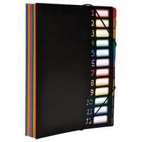 VIQUEL Irattartó mappa, gumis, 12 részes, VIQUEL "Rainbow Class", fekete