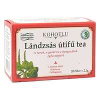 DR CHEN Herbatea DR CHEN Kohoflu lándzsás útifű 20 filter/doboz
