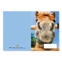 PD School Füzetborító pd A/5 bámu-ló