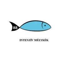 Rainbow Karton Rainbow 50x70 cm 230g intenzív mélykék 88