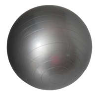 YWU Fitness labda 55 cm