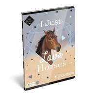 Lizzy Card Füzet tűzött A5, 40 lapos, szótár - Love Horses