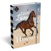 Lizzy Card Füzetbox A4 - Love Horses