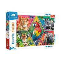 Trefl Animal Planet: Egzotikus állatok 1000 db-os puzzle – Trefl