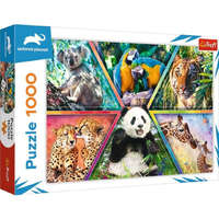 Trefl Animal Planet: Állati királyságok 1000 db-os puzzle – Trefl