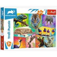 Trefl Animal Planet: Egzotikus világ 200 db-os puzzle – Trefl
