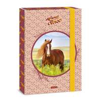 Ars Una Ars Una: My Sweet Horse Lovas A4 füzetbox