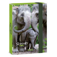 Ars Una Ars Una: Serenity Elefánt A5-ös füzetbox