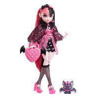 Mattel Monster High™: Draculaura baba kisállattal és kiegészítőkkel – Mattel