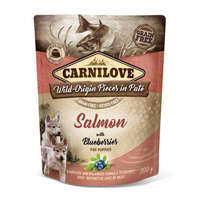 Brit Carnilove Dog Puppy tasakos Paté Salmon with Blueberries - Lazac áfonyával 300g