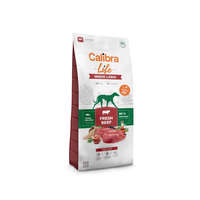 Calibra Calibra Dog Life Senior Large Fresh Beef 12kg