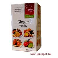 Apotheke Apotheke - Gyömbér Variációk, Vegyes Gyümölcs Tea, 4*5 filter - Premier Selection