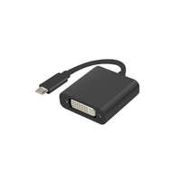 Lanberg Lanberg USB C - DVI átalakító konverter (AD-UC-DV-01)
