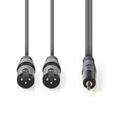Nedis Nedis 2db XLR 3 tűs dugó - 3.5 mm-es dugó audio kábel 3m szürke (COTH15310GY30)