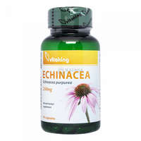 Vitaking Vitaking Echinacea 250 mg kapszula 90 db
