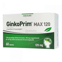 Walmark Walmark GinkoPrim Max 120 mg tabletta 60 db