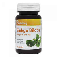 Vitaking Vitaking Ginkgo Biloba 60 mg kapszula 90 db