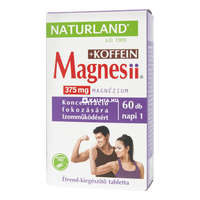 Naturland Naturland Magnesii + Koffein tabletta 60 db