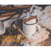 Brando Narancsos ízű forró csoki por kartonban