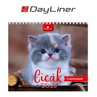 DAYLINER Naptár, asztali, álló, DAYLINER "Cicák"