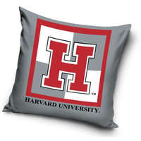 Harvard Harvard párnahuzat 40*40 cm