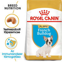 Royal Canin ROYAL CANIN FRENCH BULLDOG JUNIOR - Francia Bulldog kölyök kutya száraztáp 1kg