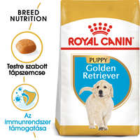 Royal Canin ROYAL CANIN GOLDEN RETRIEVER PUPPY - Golden Retriever klyök kutya száraztáp 3kg