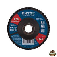 EXTOL PREMIUM lamellás csiszoló acél, Alu, műa. és fa munkadarabok csiszolására, 125×22mm; P100, kúpos,max.:12.300 ford./perc, EN13743