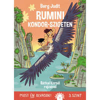 Pozsonyi Pagony Rumini Kondor-szigeten - Most én olvasok 3. szint - Berg Judit
