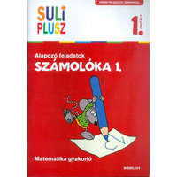  Számolóka 1. /Alapozó feladatok - matematika gyakorló 1. osztály