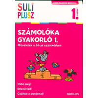 Számolóka gyakorló 1. - Műveletek a 20-as számkörben /Vidám feladatok számokkal 1. osztály