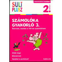 Számolóka gyakorló 3. - Szorzás, osztás a 100-as számkörben /Vidám feladatok számokkal 2. osztály