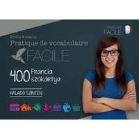  Pratique de vocabulaire Facile - 400 francia szókártya /Haladó szinten