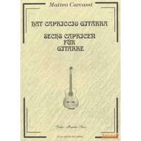 Solo Music Hat capriccio gitárra