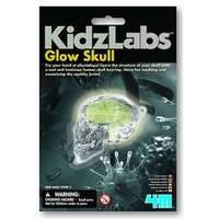 4M világító koponya készlet (29076)