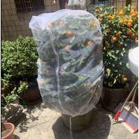  Kerti növénytakaró védőháló rovarok ellen - 100 x 150 cm