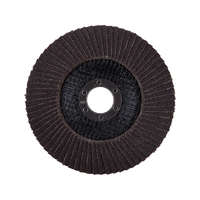 EXTOL EXTOL PREMIUM lamellás csiszolókorong acél, alumínium, műanyag és fa munkadarabok csiszolására, 125×22mm; P40 szemcseméret, kúpos kialakítás, max. 12.300 ford./perc, E típus